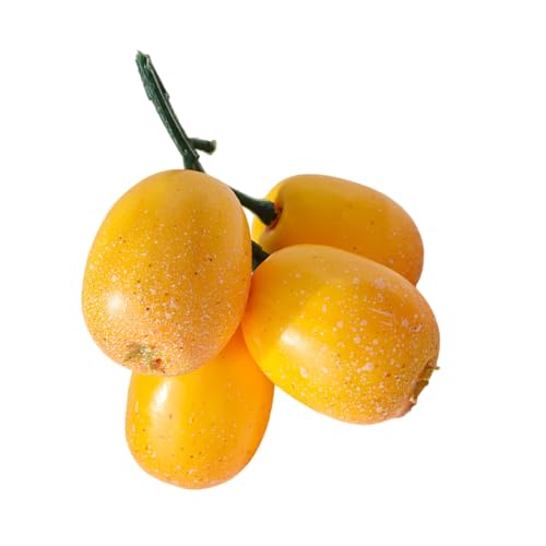 Xuancai Künstliche Mispel Obst Realistische Simulation Früchte Modell Für Zuhause Küche Esstisch Dekoration Simulation Mispeln Künstliche Mispel von Xuancai
