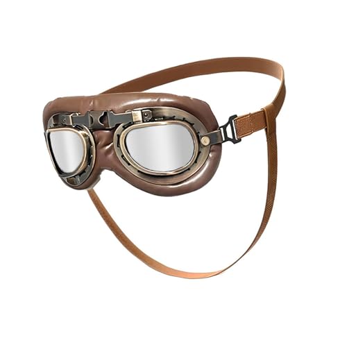 Hundebrille im Retro-Design, Lederpolsterung, winddicht, für Veranstaltungen im Freien, Retro-Design von Xuanxi