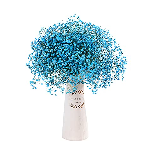 Xuebai 70cm Natürliches Schleierkraut Trockenblumen Schleierkraut Blumensträuße für Heimtextilien Foto Requisiten Hochzeitsdekor Keine Vase Schleierkraut Blumenstrauß Blau von Xuebai