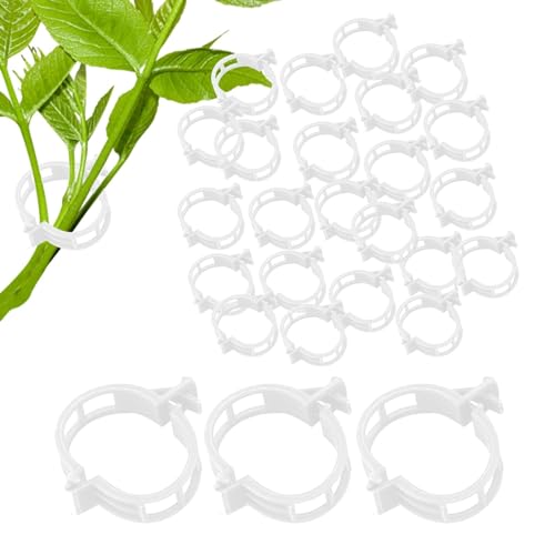 Xujuika Tomatenpflanzenklammern, Pflanzenstützklammern | 300 Stück gesicherte Pflanzenbefestigungsklammern zur Unterstützung von Kletterpflanzen | Reben-Traktionshalter, Clip zum Stützen oder von Xujuika