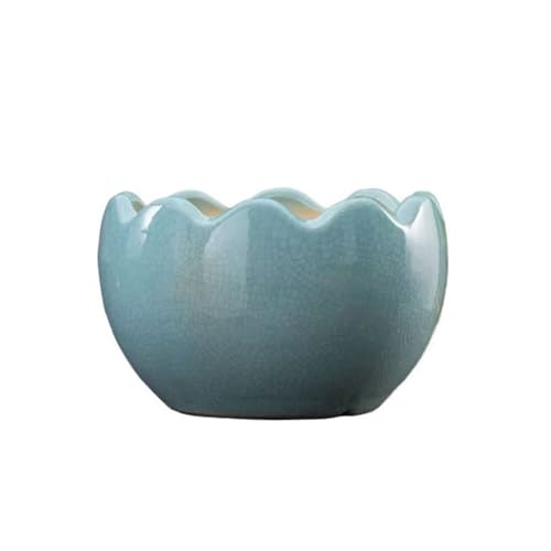 Xumh2024-3 Blumentöpfe Sukkulenten-Blumentopf, Keramik, Kerbe, großes Kaliber, grüne Pflanze, Rosen, hängende Orchidee, Bonsai, kreative Orchideen für Kakteen und Sukkulenten(Blue,Klein) von Xumh2024-3