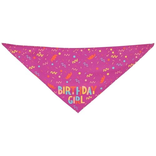 Xvilmaun Hundetuch | Dreieckige Geburtstagshalsbänder Für Hunde Mit Knochenmuster Spielzeug Für Haustiere,Niedlicher Weicher Hundeschal Mit Knochen-Muster Verstellbares Zubehör Für Mittelgroße Welpen von Xvilmaun