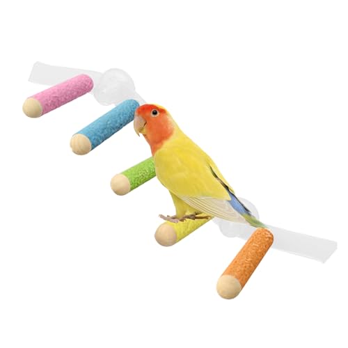 Xvilmaun Vogel Sitzstange | Wellensittich Kletterrampe - Ausfallsicherer Papageienkäfig Sitzstab mit Saugnapf für Innen und Außen für Papageien und Nymphensittiche Xvilmaun Vogel Sitzstange | Wellensittich Kletterrampe - Ausfallsicherer Papageienkäfig Sitzstab mit Saugnapf für Innen und Außen für Papageien und Nymphensittiche von Xvilmaun