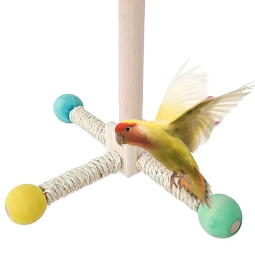 Xvilmaun Vogelkäfig Sitzstange,Spielzeug Sitzstange Aus Holz Für Vögel - Drehbarer Spielstand Mit Knabberfunktion Für Wellensittiche Nymphensittiche Kanarienvögel Xvilmaun Vogelkäfig Sitzstange,Spielzeug Sitzstange Aus Holz Für Vögel - Drehbarer Spielstand Mit Knabberfunktion Für Wellensittiche Nymphensittiche Kanarienvögel von Xvilmaun