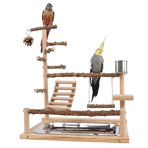 Bird Playground Naturalholz Papageienständer mit Feeder Cup Bird Perch Play Fitness Gymnastikspielzeug Mehrzweckpapagei Barc von Xweptuy