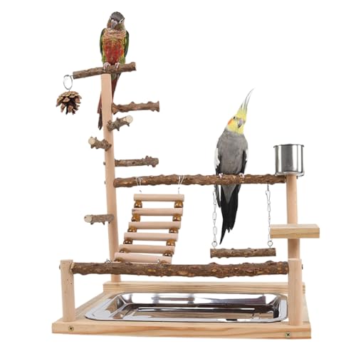 Bird Playground Naturalholz Papageienstand mit Feeder Cup Bird Perch Spiele Gymnastik Blockgussspielzeug Mehrzweckpapagei Bird Playground Naturalholz Papageienstand mit Feeder Cup Bird Perch Spiele Gymnastik Blockgussspielzeug Mehrzweckpapagei von Xweptuy