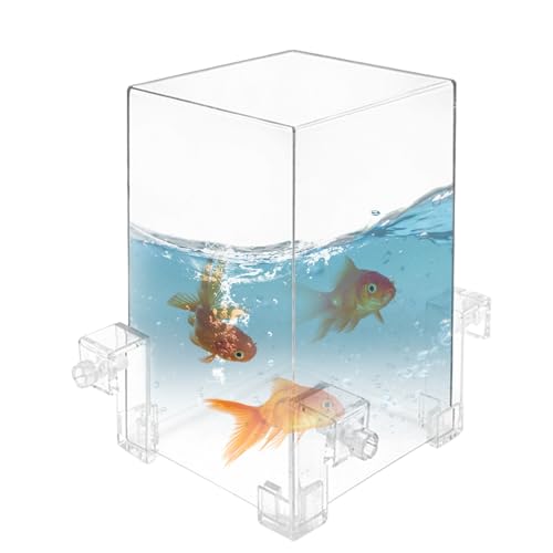 Fischtanks mit 3 Snaps 4pcs/festgelegte Acryl-Fischtanks klares Aquariumwasser Auto-Refill Aquarium Tank Vakuum Fischtanks mit 3 Snaps 4pcs/festgelegte Acryl-Fischtanks klares Aquariumwasser Auto-Refill Aquarium Tank Vakuum von Xweptuy
