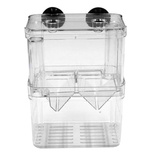 Xweptuy Fischzüchtungsbox Aquarium Inkubator Fry Brüterei Isolation Box Fisch Eltern Behälterteiler mit Saugbechern Double la Xweptuy Fischzüchtungsbox Aquarium Inkubator Fry Brüterei Isolation Box Fisch Eltern Behälterteiler mit Saugbechern Double la von Xweptuy