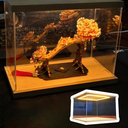 Acryl Vitrine Beleuchtung Durchsichtiger Acrylboxen zum Basteln, Vitrine für Mehrere Sammlerstücke/Miniaturen/Modelle/Puppen, Stapelbare Alternative Glasbox(L25xW15xH10cm/10x6x4") von Xyrona
