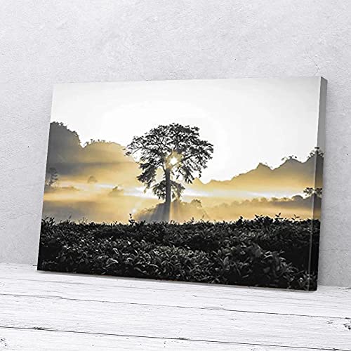 YAASIMOULE Baum Sonnenlicht Attraktive natürliche Leinwanddrucke Wandkunst von YAASIMOULE