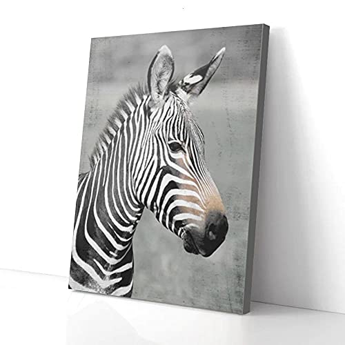 YAASIMOULE Zebra Leinwanddrucke Wandkunst von YAASIMOULE