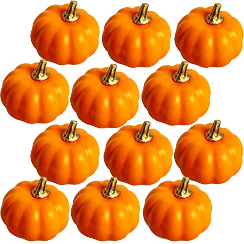 YAAVAAW 12 Stück Herbst Deko Künstlicher Kürbis Kleiner Orange,Kürbis Deko Gefälscht Schaum Herbstdekorationen für Zuhause Thanksgiving Dekoration,Halloween,Tischdeko,Partydekoration,Hochzeit,DIY von YAAVAAW