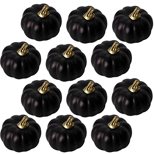YAAVAAW 12 Stück Herbst Deko Künstlicher Kürbis Kleiner Schwarz,Kürbis Deko Gefälscht Schaum Herbstdekorationen für Zuhause Thanksgiving Dekoration,Halloween,Tischdeko,Partydekoration,Hochzeit,DIY von YAAVAAW