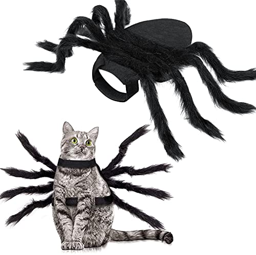 Halloween Spinnenkostüm , Hundekostüm , Halloween-Haustier-Kostüm-Halloween Dekorationen, für Kleine mittelgroße Hunde und Katzen einstellbar Schwarz von YACA