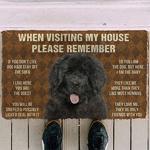 Fußmatte für Innen Eingang Fußmatte Personalisierte Fußmatte Für Alle Gäste Muss Mit Dem Namen des Hundes Genehmigt Werden Waschbare Fußmatte-60x90cm von YACANNA