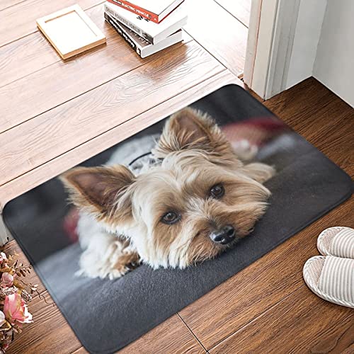 YACANNA Fußmatte für Innen Außen Waschbare Niedliche Mini Yorkshire Terrier Fußmatte Badezimmermatte Küche Zuhause Flur Teppich Fußmatte 60x90cm von YACANNA