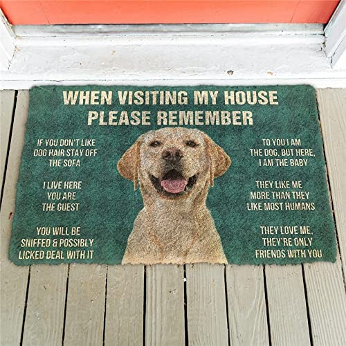 YACANNA Fußmatte für Innen Außen Waschbare Please Remember Labrador Retriever Dogs House Rules Fußmatte Decor Print Fußmatte Schlafzimmer Veranda 50x80cm von YACANNA