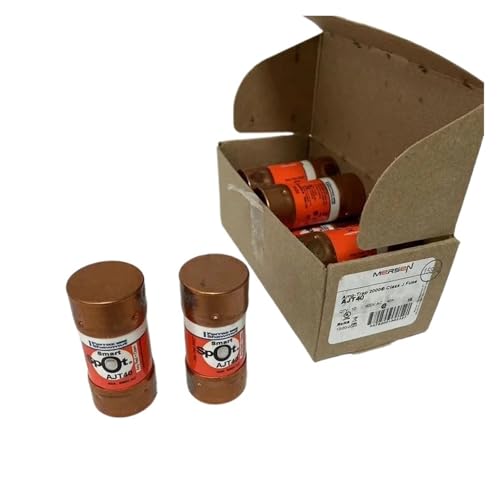 Sicherungen: 1 Stück AJT35 AJT40 AJT45 AJT50 AJT55 AJT60 600 V(AJT35 600V,Original) von YACODLUL