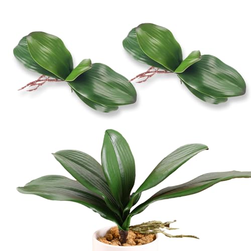 YAFIYGI Orchideenblätter, künstliche Orchideenblätter, fühlen sich echt an, Phalaenopsis-Stiele, künstliches Cymbidium, grüne Orchidee, Großpackung, lebensechte Orchidee, 20,3 cm von YAFIYGI