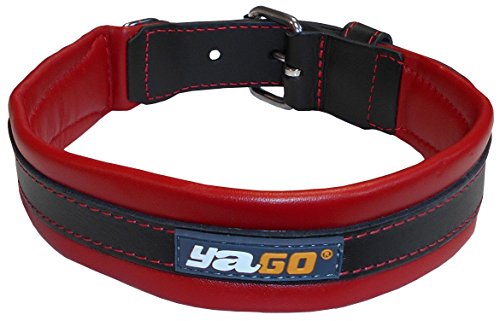 Aimé YAGO 819066 Halsband Basic von Aimé