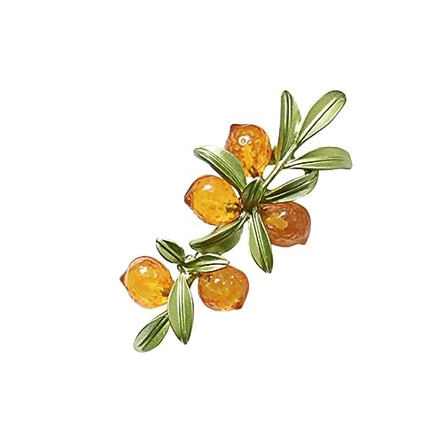 YAHOYA Pflanze Obst Kreative Orange Kirsche Brosche Trendige Orange Brosche Kreative Orange Farbig Glasur Chinesische Stil Legierung Pflanze Brosche YAHOYA Pflanze Obst Kreative Orange Kirsche Brosche Trendige Orange Brosche Kreative Orange Farbig Glasur Chinesische Stil Legierung Pflanze Brosche von YAHOYA
