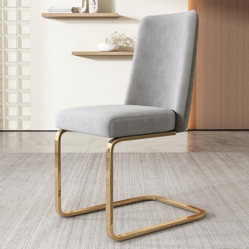 YAIXBNG Samt-Esszimmerstuhl, 2er-Set, luxuriös, Wohnzimmer, Schlafzimmer, Lounge-Sessel, Diamant-Rücken-Design, mit goldfarbenen Metall-Stützbeinen, Grau YAIXBNG Samt-Esszimmerstuhl, 2er-Set, luxuriös, Wohnzimmer, Schlafzimmer, Lounge-Sessel, Diamant-Rücken-Design, mit goldfarbenen Metall-Stützbeinen, Grau von YAIXBNG