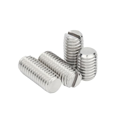 YAKUFAST 2/50X M1,2,4,6 M2,5 M3 M4 M5 M6 M8 M10 M12 GB73 304 Edelstahl geschlitzt Flachspitze Ende Kopflose Madenschraube Stellschraube(6mm,50pcs M2.5) von YAKUFAST