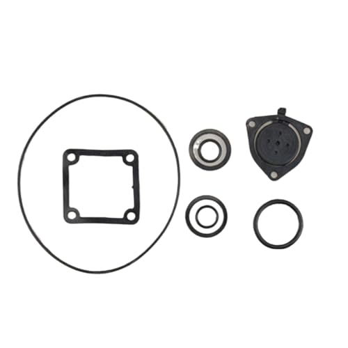 YAKUFAST Benzinmotor-Pumpmaschinen-Zubehör, Wasserpumpe, kompletter Satz Dichtung, Auslass, Sitzkissen, Einwegventil, Gummidichtung(Gray) von YAKUFAST