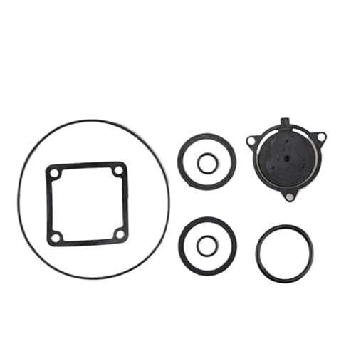 YAKUFAST Benzinmotor-Pumpmaschinen-Zubehör, Wasserpumpe, kompletter Satz Dichtung, Auslass, Sitzkissen, Einwegventil, Gummidichtung(Transparent) von YAKUFAST