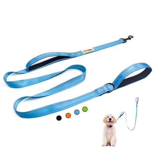 YALAVA Hundeleine mit doppeltem Griff, 2,5 cm, strapazierfähig, doppelt gepolsterter Griff, Verkehrsgriff und reflektierende Hundeleine für mittelgroße und große Hunde, Blau von YALAVA
