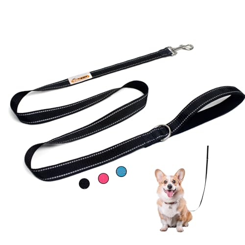 YALAVA Reflektierende Hundeleine mit weich gepolstertem Griff, robuste Nylon-Hundeleine, passend für kleine, mittelgroße oder große Hunde, Schwarz YALAVA Reflektierende Hundeleine mit weich gepolstertem Griff, robuste Nylon-Hundeleine, passend für kleine, mittelgroße oder große Hunde, Schwarz von YALAVA