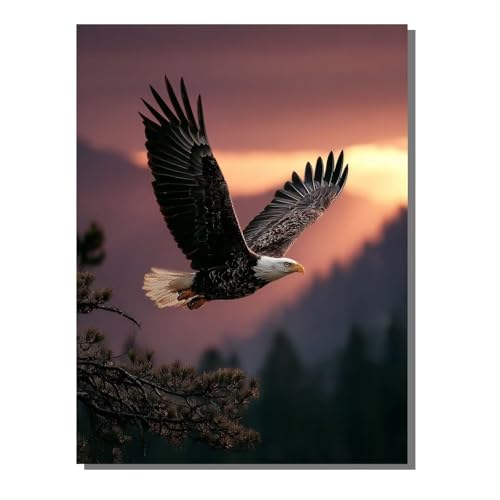 5D Diamond Painting Erwachsene, Diamant Malerei Kinder Anfänger, DIY Adler Tier Diamant Painting Bilder Erwachsene Bastelset Geeignet Als Geschenk, Zur Entspannung und Als Wanddeko 60x80 cm SYLF110 von YALNSENN