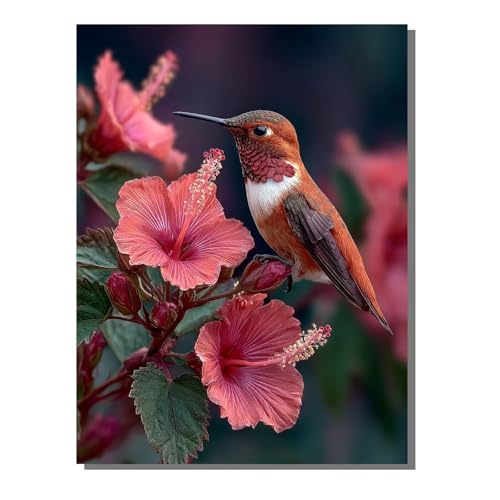 5D Diamond Painting Erwachsene, Diamant Malerei Kinder Anfänger, DIY Kolibri Blume Diamant Painting Bilder Erwachsene Bastelset Geeignet Als Geschenk, Zur Entspannung und Als Wanddeko 30x40 cm SYLF44 von YALNSENN