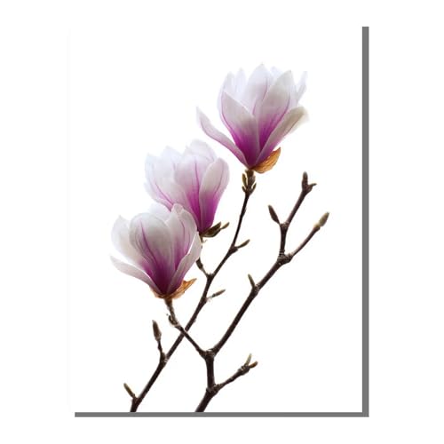 5D Diamond Painting Erwachsene, Diamant Malerei Kinder Anfänger, DIY Pflanze Blume Diamant Painting Bilder Erwachsene Bastelset Als Geschenk Zur Entspannung und Als Wanddeko 80x100 cm SYLF771 5D Diamond Painting Erwachsene, Diamant Malerei Kinder Anfänger, DIY Pflanze Blume Diamant Painting Bilder Erwachsene Bastelset Als Geschenk Zur Entspannung und Als Wanddeko 80x100 cm SYLF771 von YALNSENN