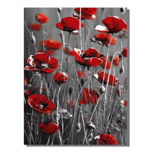 5D Diamond Painting Erwachsene, Diamant Malerei Kinder Anfänger, DIY Pflanze Blume Diamant Painting Bilder Erwachsene Bastelset Geeignet Als Geschenk, Zur Entspannung und Als Wanddeko 30x40 cm SYLF775 5D Diamond Painting Erwachsene, Diamant Malerei Kinder Anfänger, DIY Pflanze Blume Diamant Painting Bilder Erwachsene Bastelset Geeignet Als Geschenk, Zur Entspannung und Als Wanddeko 30x40 cm SYLF775 von YALNSENN