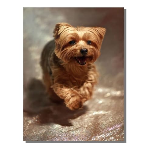 5D Diamond Painting Erwachsene, Diamant Malerei Kinder Anfänger, DIY Tier Hund Diamant Painting Bilder Erwachsene Bastelset Geeignet Als Geschenk, Zur Entspannung und Als Wanddeko 80x100 cm SYLF770 5D Diamond Painting Erwachsene, Diamant Malerei Kinder Anfänger, DIY Tier Hund Diamant Painting Bilder Erwachsene Bastelset Geeignet Als Geschenk, Zur Entspannung und Als Wanddeko 80x100 cm SYLF770 von YALNSENN