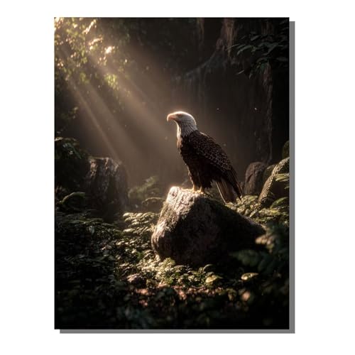 Adler Tier Diamond Painting Erwachsene, 5D Diamant Kunst Kinder Kits, DIY Erwachsene Mosaikherstellung Basteln Diamant Malerei Bilder Set für Weihnachten Wanddekoration, Geschenke 60x80 cm SYLF741 Adler Tier Diamond Painting Erwachsene, 5D Diamant Kunst Kinder Kits, DIY Erwachsene Mosaikherstellung Basteln Diamant Malerei Bilder Set für Weihnachten Wanddekoration, Geschenke 60x80 cm SYLF741 von YALNSENN