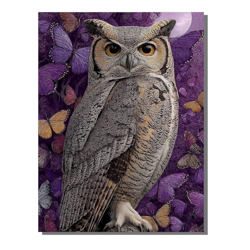 Eule Schmetterling Diamond Painting Erwachsene, 5D Diamant Kunst Kinder Kits, DIY Erwachsene Mosaikherstellung Basteln Diamant Malerei Bilder Set für Wanddekoration, Geschenke 60x80 cm SYLF9 von YALNSENN
