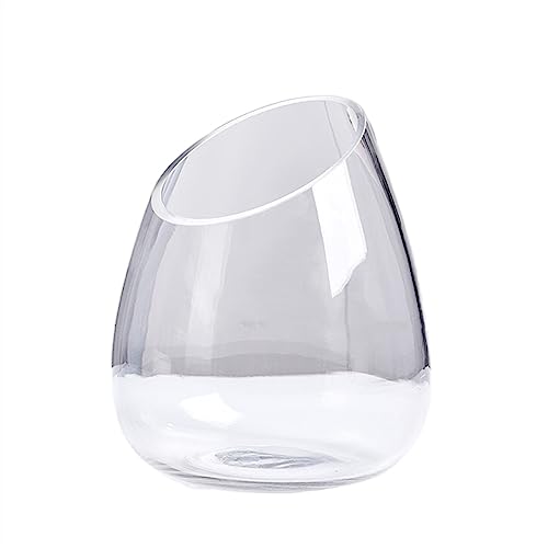 YANG11FAN Aquarien Aquarium Verdicktes Transparentes Glas Aquarium Runde Schräge Öffnung Schildkröte Tank Kleines Wohnzimmer Haushalt Desktop Aquarium Wohndeko(Groß) von YANG11FAN