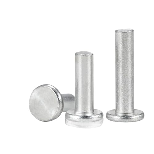 YANGC 20~100 Stück M3 M4 M5 M6 Runder Flachkopf Vollschlagnieten Aluminium Selbststeckende Schlagniete mit Flachkopf Länge 5~30mm(M6-20pcs,20mm) von YANGC