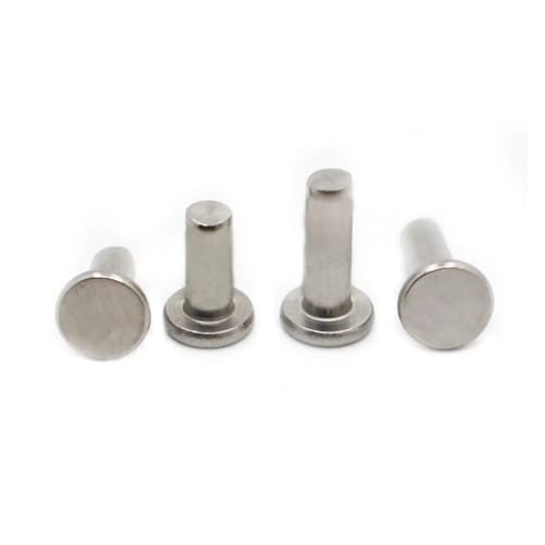 YANGC 5–50 Stück 304 Edelstahl GB109 Rundkopf-Vollniete, selbststopfende Schlagniet-Nagelschrauben M2 M2.5 M3 M4 M5 M6(M2 50pcs,10mm) von YANGC
