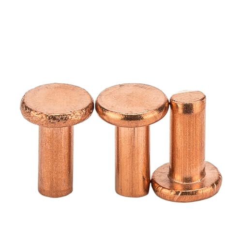 YANGC M1,5 M2,5 M3 M4 M5 M6 M8 Rotkupfer Rundkopf Vollniete(3mm,M2.5 (40Pcs)) von YANGC