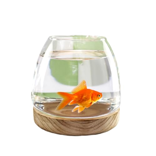 Glas-Aquarium Mit Holzsockel, Glas Mit Hoher Lichtdurchlässigkeit Für Klare Sicht, Kleines Aquarium Für Kampffische, Goldfische Und Garnelen,15x15cm von YANGMIAN