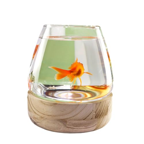 Glas-Aquarium Mit Holzsockel, Glas Mit Hoher Lichtdurchlässigkeit Für Klare Sicht, Kleines Aquarium Für Kampffische, Goldfische Und Garnelen,17x19.5cm von YANGMIAN