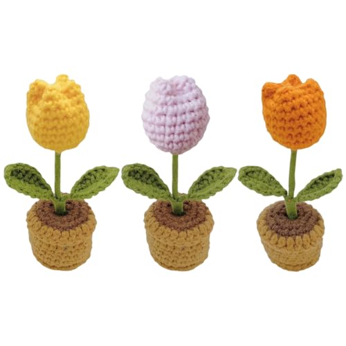 YANGSHINE 3 Stück Mini-Topfblumen, handgefertigt, gehäkelte Blumen, handgestrickt, Tulpenblume für Büro, Auto, Armaturenbrett, Dekoration, Farbe #5 von YANGSHINE