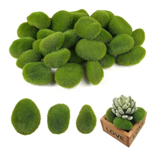 YANGWEN 20 Stück Künstliche Mooskugeln – Realistische Fake Moossteine für Deko,3 * 5cm,6 * 5cm YANGWEN 20 Stück Künstliche Mooskugeln – Realistische Fake Moossteine für Deko,3 * 5cm,6 * 5cm von YANGWEN