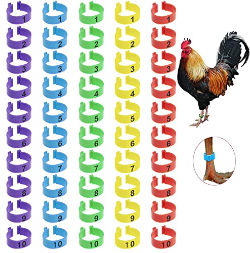 YANGWEN Huhn Bein Ringe,50PCS nummeriert Clip auf Bein Ringe mehrere Farbe Huhn Identifikation Bein Bands nummeriert Clip auf Bein Ringe Fuß Runde Tag Clips für Huhn Ente Taube Gans (16mm) von YANGWEN