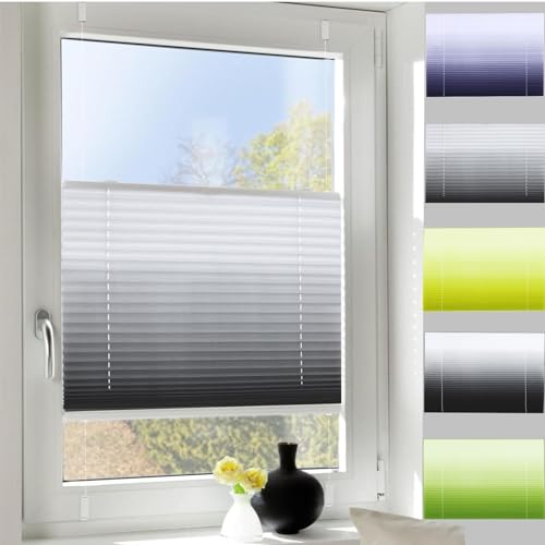 Plissee ohne Bohren Verdunkelung 20 x 90 cm Sichtschutz und Sonnenschutz Faltrollo Plisseerollo Jalousie mit Klemmträger / -fix für Fenster und Tür, Grau Plissee ohne Bohren Verdunkelung 20 x 90 cm Sichtschutz und Sonnenschutz Faltrollo Plisseerollo Jalousie mit Klemmträger / -fix für Fenster und Tür, Grau von YANHONG