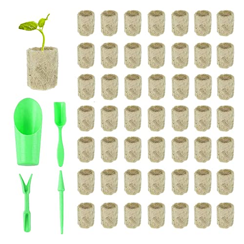 YANRU 50 pcs,Steinwolle Plugs,Rockwool Cube,Hydroponischen Block-GemüSe,Steinwollpad FüR Den Pflanzenanbau,Mit 4 StüCk SäMlings-Pflanzwerkzeugen,Anbau Von SäMlingen,Blumen,Pflanzen,Garten (50) von YANRU