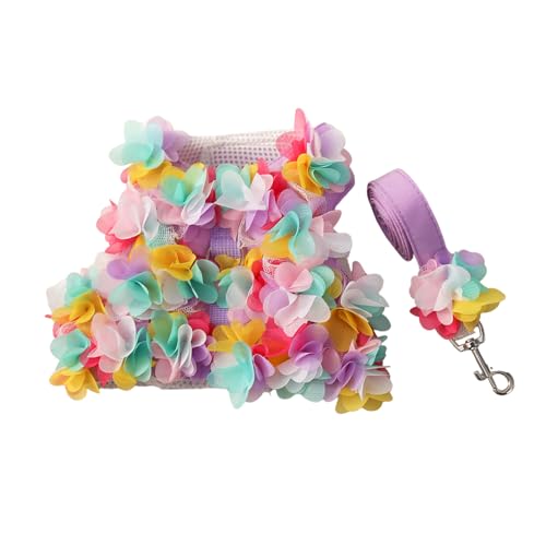 Frühlingsrock für kleine Hunde mit Leinen, Spitzenkleid, Geschirr, Kleidung, modisches Outfit für Hunde, modisches Outfit für Hunde, modisches Blumen-Brustweste, Haustier-Brustkleid von YAOGUI